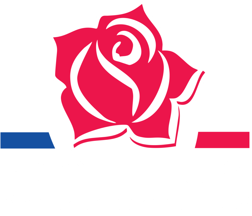 bigot-fleurs