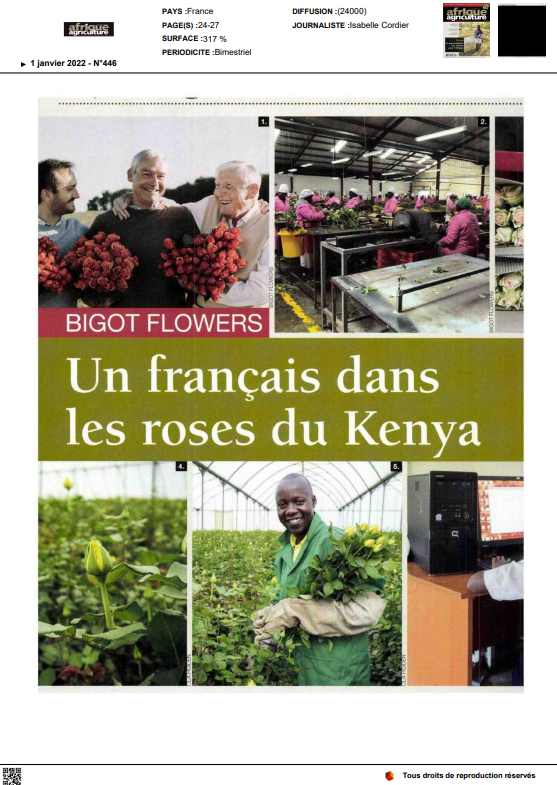 Afrique culture - 01/2022