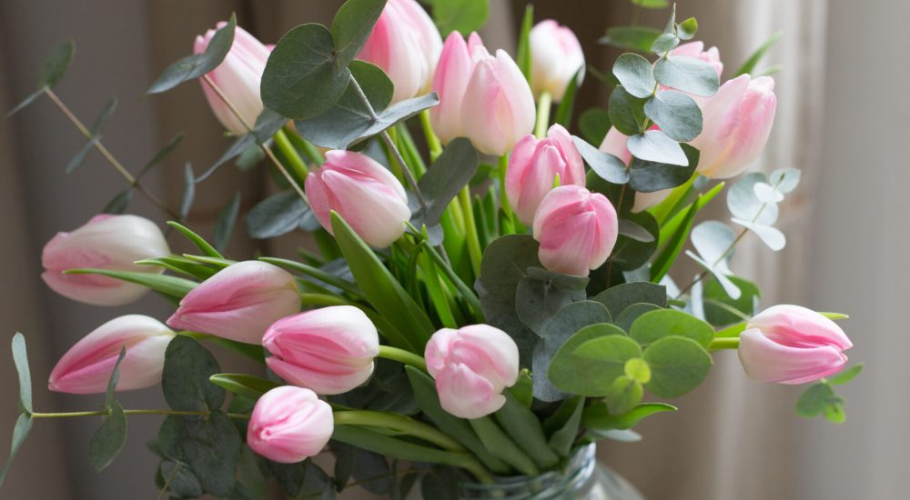 Kateryna-photos-pour-les-fleurs-de-nicolas-1