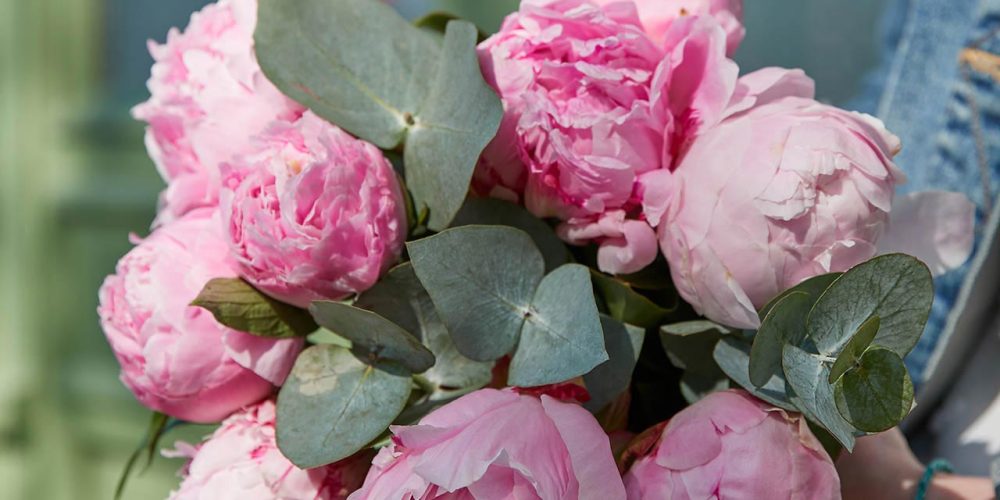 bouquet-pimprenelle-06