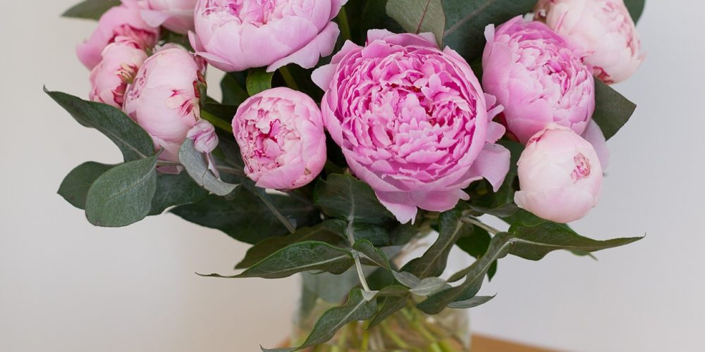 pivoines-brassee-02