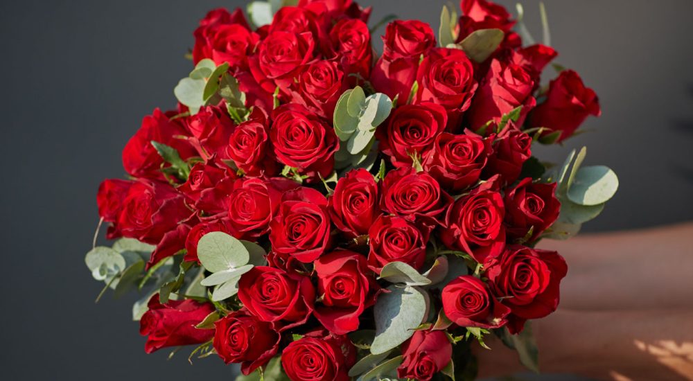 roses-opera-02 (2)