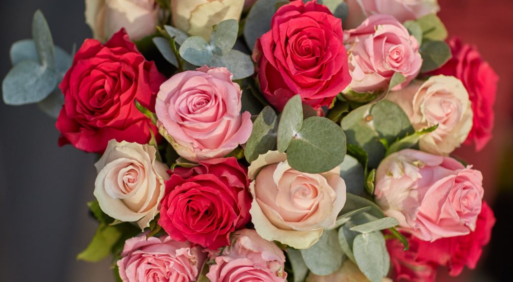 roses-rosie-02