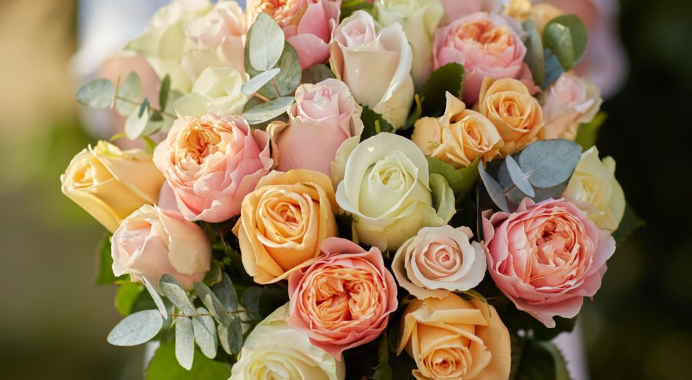 roses-victoria-01